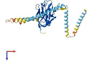 AlphaFold protein structure predicition of Mouse Recombinant Sun3 Protein, UniprotID Q5SS91