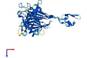AlphaFold protein structure predicition of Human Recombinant ELAC1 Protein, UniprotID Q9H777