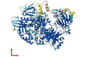 AlphaFold protein structure predicition of Mouse Recombinant Dna2 Protein, UniprotID Q6ZQJ5