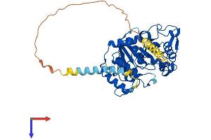 AlphaFold protein structure predicition of Human Recombinant ST8SIA6 Protein, UniprotID P61647