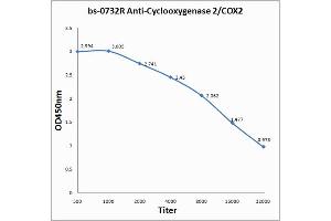 Antigen: 0. (PTGS2 anticorps  (AA 501-604))