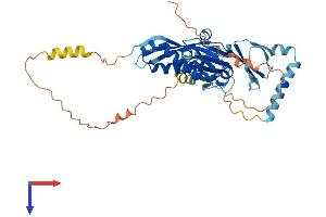 AlphaFold protein structure predicition of Human Recombinant STOML1 Protein, UniprotID Q9UBI4