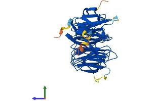 AlphaFold protein structure predicition of Human Recombinant WDR45 Protein, UniprotID Q9Y484