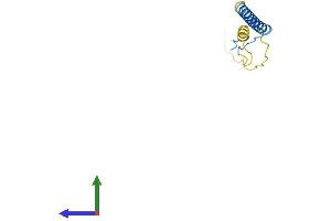 AlphaFold protein structure predicition of Human Recombinant SMAGP Protein, UniprotID Q0VAQ4