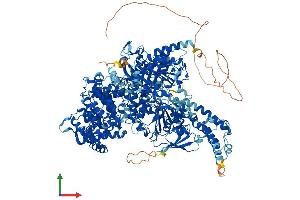 AlphaFold protein structure predicition of Mouse Recombinant Aqr Protein, UniprotID Q8CFQ3