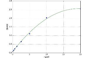 Synuclein, gamma (Breast Cancer-Specific Protein 1) (SNCG) ELISA Kit