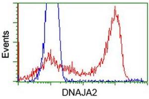 HEK293T cells transfected with either RC202204 overexpress plasmid (Red) or empty vector control plasmid (Blue) were immunostained by anti-DNAJA2 antibody (ABIN2452948), and then analyzed by flow cytometry. (DNAJA2 anticorps)