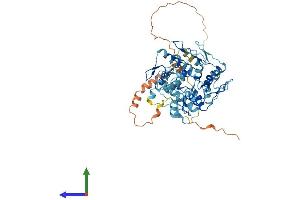 AlphaFold protein structure predicition of Human Recombinant ZNF26 Protein, UniprotID P17031