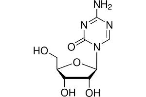 Chemical structure of 5-Azacytidine , a DNA hypomethylation agent. (5-Azacytidine)