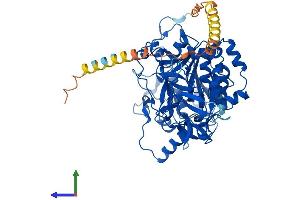 AlphaFold protein structure predicition of Human Recombinant GALNT6 Protein, UniprotID Q8NCL4