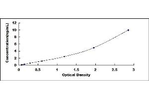 Typical standard curve (SIRT5 Kit ELISA)
