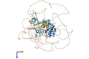 AlphaFold protein structure predicition of Human Recombinant PASK Protein, UniprotID Q96RG2