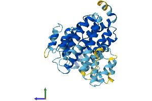 AlphaFold protein structure predicition of Human Recombinant ATP6V0D2 Protein, UniprotID Q8N8Y2