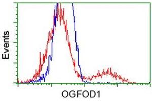 HEK293T cells transfected with either RC206839 overexpress plasmid (Red) or empty vector control plasmid (Blue) were immunostained by anti-OGFOD1 antibody (ABIN2454192), and then analyzed by flow cytometry. (OGFOD1 anticorps)