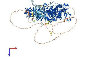 AlphaFold protein structure predicition of Human Recombinant NSUN2 Protein, UniprotID Q08J23