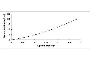 Typical standard curve (MMP19 Kit ELISA)