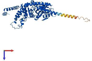 AlphaFold protein structure predicition of Mouse Recombinant Sepsecs Protein, UniprotID Q6P6M7