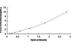 Purinergic Receptor P2Y, G-Protein Coupled, 14 (P2RY14) ELISA Kit
