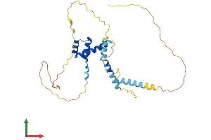 AlphaFold protein structure predicition of Mouse Recombinant Barx2 Protein, UniprotID O08686