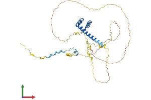 AlphaFold protein structure predicition of Mouse Recombinant Hmx3 Protein, UniprotID P42581