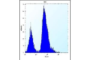 EIF4EBP1 Antibody (Center) (ABIN656558 and ABIN2845820) flow cytometric analysis of 293 cells (right histogram) compared to a negative control cell (left histogram).