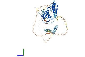 AlphaFold protein structure predicition of Human Recombinant SKAP1 Protein, UniprotID Q86WV1