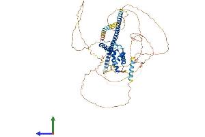 AlphaFold protein structure predicition of Mouse Recombinant Sox13 Protein, UniprotID Q04891