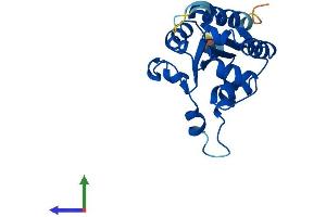AlphaFold protein structure predicition of Human Recombinant PPCDC Protein, UniprotID Q96CD2
