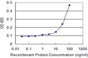 Detection limit for recombinant GST tagged SSH1 is 3 ng/ml as a capture antibody. (SSH1 anticorps  (AA 752-849))