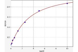 Typical standard curve