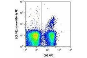 Flow Cytometry (FACS) image for anti-TCR V beta 2 antibody (PE) (ABIN2663915) (TCR V beta 2 anticorps (PE))