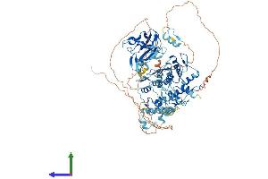 AlphaFold protein structure predicition of Mouse Recombinant Prdm9 Protein, UniprotID Q96EQ9