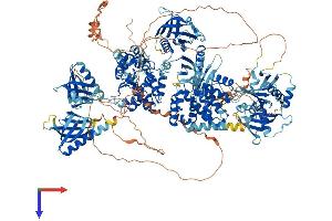 AlphaFold protein structure predicition of Mouse Recombinant Arap1 Protein, UniprotID Q4LDD4