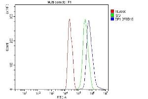 Flow Cytometry analysis of C6 cells using anti-splicing factor 1 antibody (ABIN7600193). (Splicing Factor 1 anticorps  (AA 160-266))