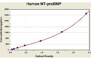 Diagramm of the ELISA kit to detect Human NT-proBNPwith the optical density on the x-axis and the concentration on the y-axis. (NT-ProBNP Kit ELISA)