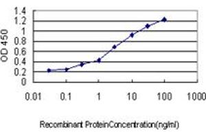 Image no. 1 for anti-Regulator of G-Protein Signaling 2 (RGS2) (AA 111-211) antibody (ABIN465968) (RGS2 anticorps  (AA 111-211))