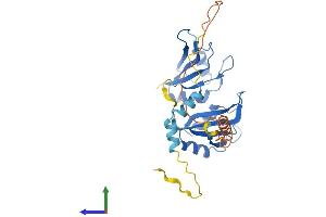 AlphaFold protein structure predicition of Human Recombinant TRNAU1AP Protein, UniprotID Q9NX07