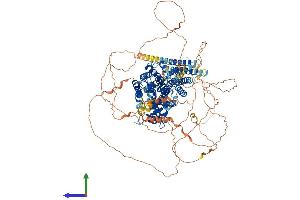 AlphaFold protein structure predicition of Human Recombinant RAPGEF1 Protein, UniprotID Q13905