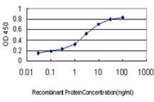 Detection limit for recombinant GST tagged PCDHGA1 is approximately 0. (PCDHGA1 anticorps  (AA 241-340))