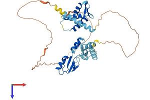 AlphaFold protein structure predicition of Human Recombinant LYAR Protein, UniprotID Q9NX58