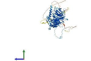 AlphaFold protein structure predicition of Mouse Recombinant Dnai1 Protein, UniprotID Q8C0M8