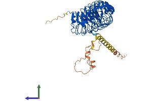 AlphaFold protein structure predicition of Human Recombinant LRRC1 Protein, UniprotID Q9BTT6