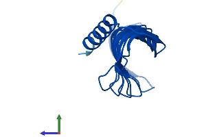 AlphaFold protein structure predicition of Mouse Recombinant Morn4 Protein, UniprotID Q6PGF2