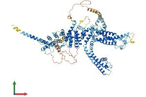 AlphaFold protein structure predicition of Mouse Recombinant Trpc6 Protein, UniprotID Q61143