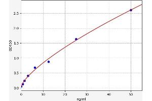Fc Fragment of IgA, Receptor For (FCAR) ELISA Kit