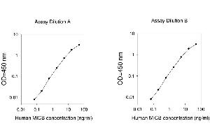 ELISA image for MHC Class I Polypeptide-Related Sequence B (MICB) ELISA Kit (ABIN625338)