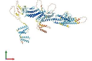 AlphaFold protein structure predicition of Mouse Recombinant Tubgcp5 Protein, UniprotID Q8BKN5