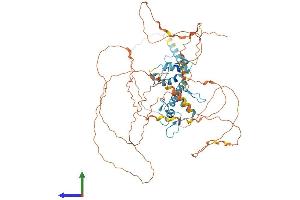AlphaFold protein structure predicition of Human Recombinant GLIS1 Protein, UniprotID Q8NBF1