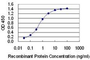 Detection limit for recombinant GST tagged TOPBP1 is 0. (TOPBP1 anticorps  (AA 1327-1435))