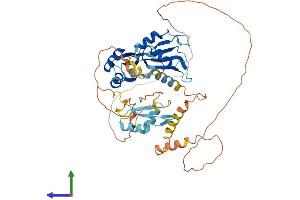 AlphaFold protein structure predicition of Mouse Recombinant Celf4 Protein, UniprotID Q7TSY6